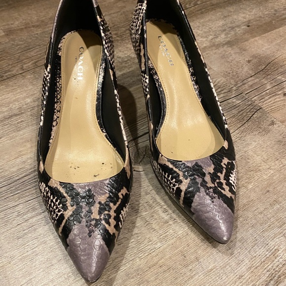 Coach Python Pumps - Picture 7 of 8
